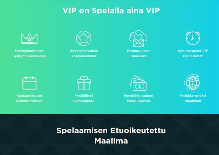 Spela Casino VIP