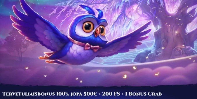 Spinight Casino bonus