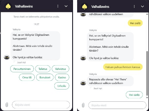 Valhalla Wins Casinon asiakaspalvelu