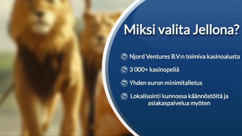 kuukauden suosikkikasino