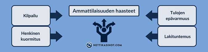 Minkälaisia haasteita ammattilaiseksi pyrkivä kohtaa?